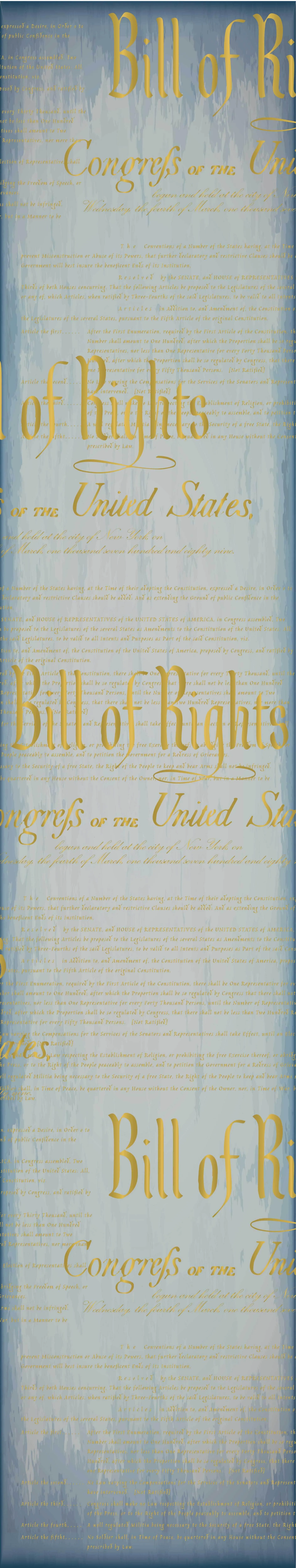 Bill of Rights Long Silk Scarf