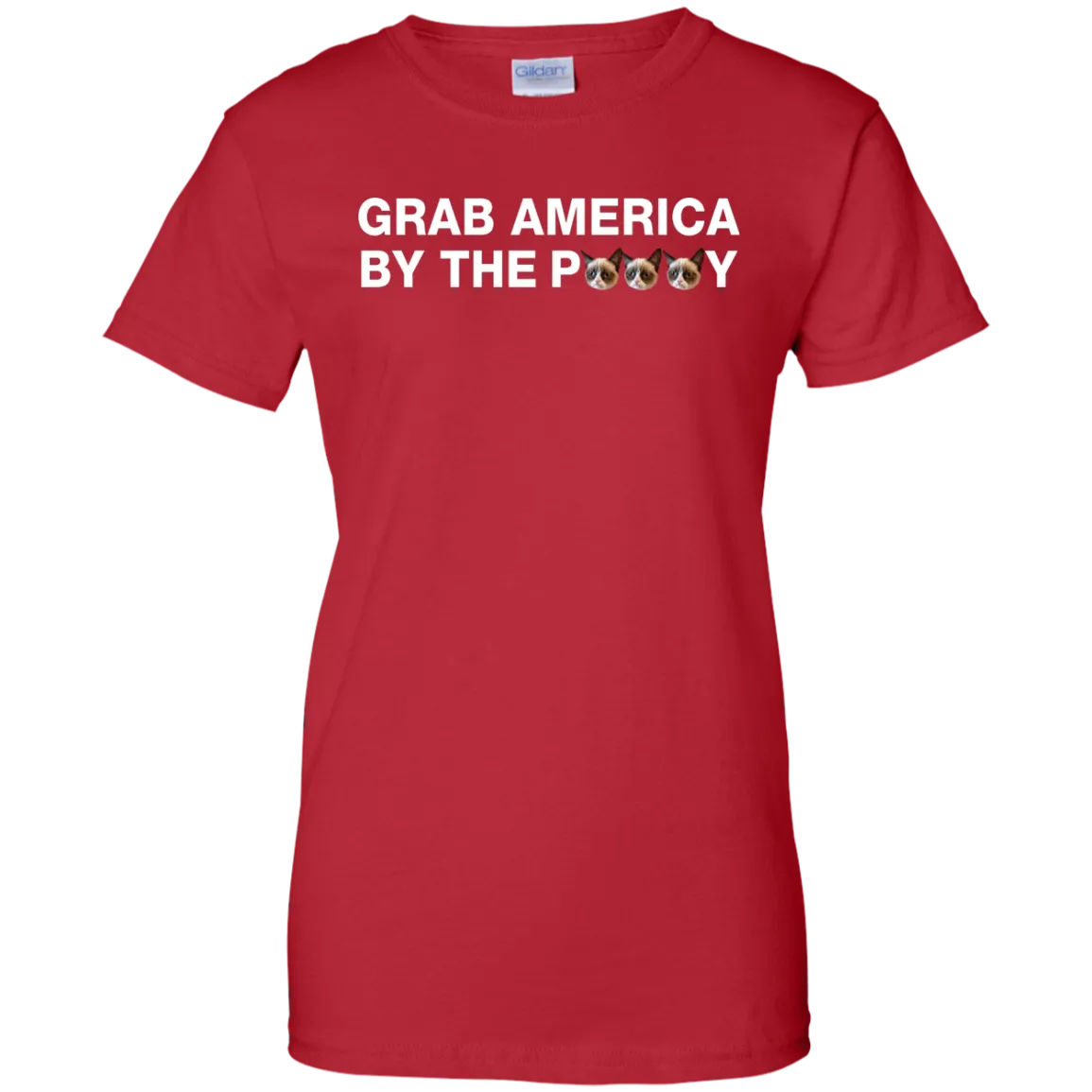 Funny Grab America by the Pussy Shirt, Hoodie, Tank