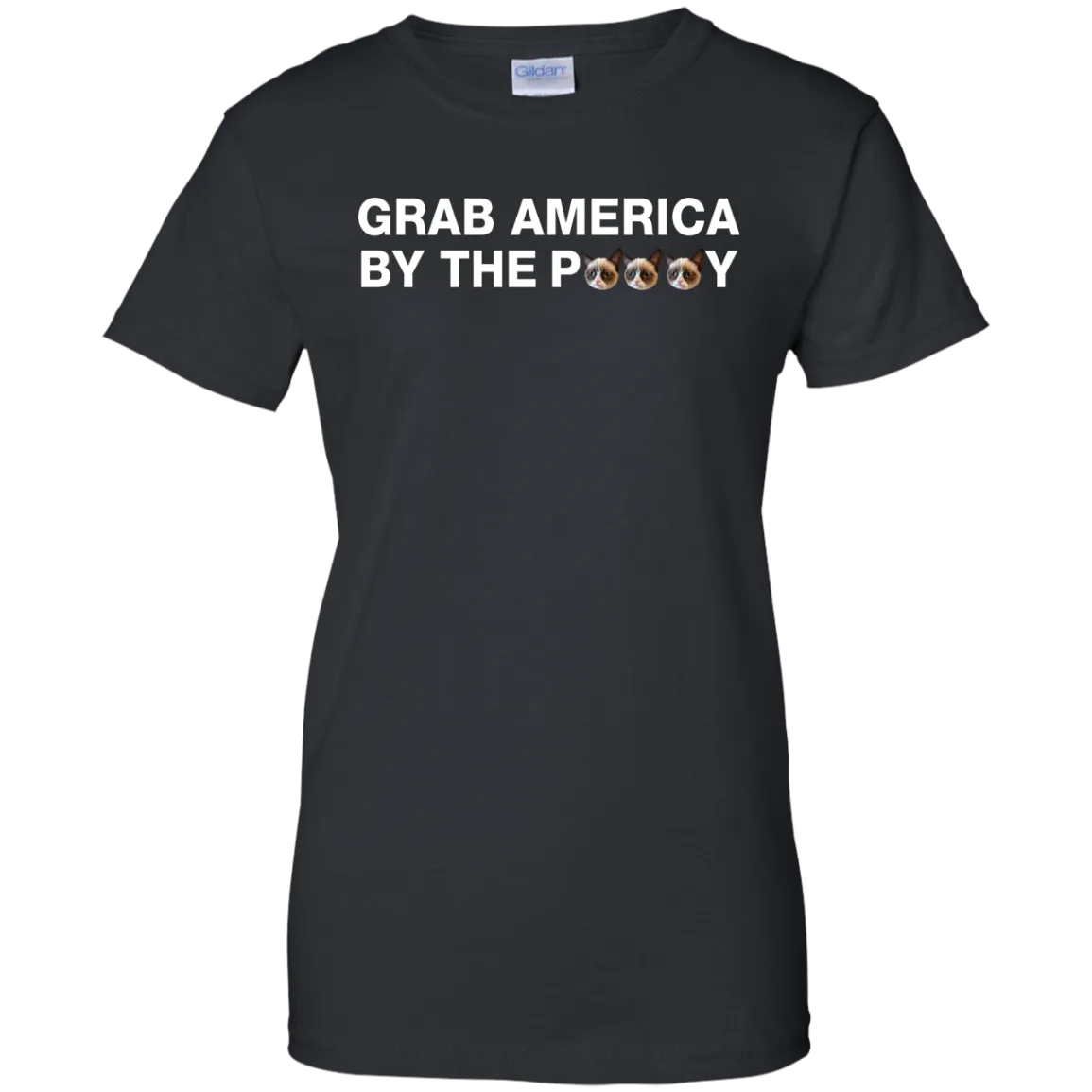 Funny Grab America by the Pussy Shirt, Hoodie, Tank